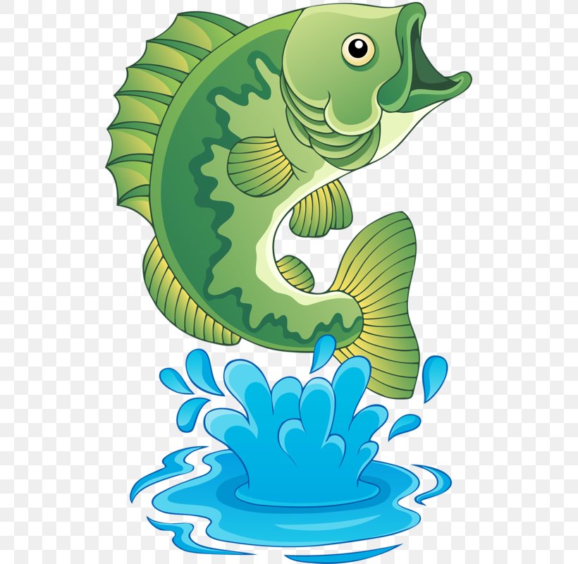 Freshwater Fish Bass Clip Art, PNG, 522x800px, Freshwater Fish, Amphibian, Bass, Cartoon, Drawing Download Free