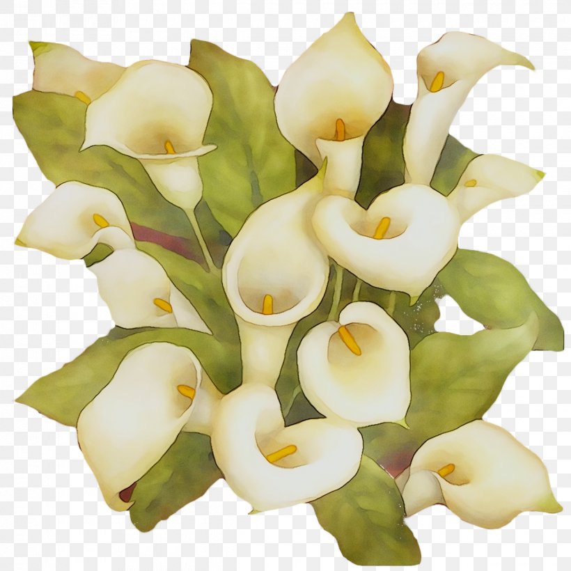Arum Lilies Cut Flowers Floral Design Flower Bouquet, PNG, 1240x1240px, Arum Lilies, Alismatales, Anthurium, Artificial Flower, Arum Download Free