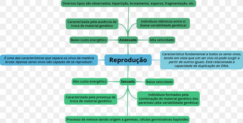 Asexual Reproduction Mind Map Organism, PNG, 1923x975px, Reproduction, Asexual Reproduction, Biology, Brand, Concept Download Free