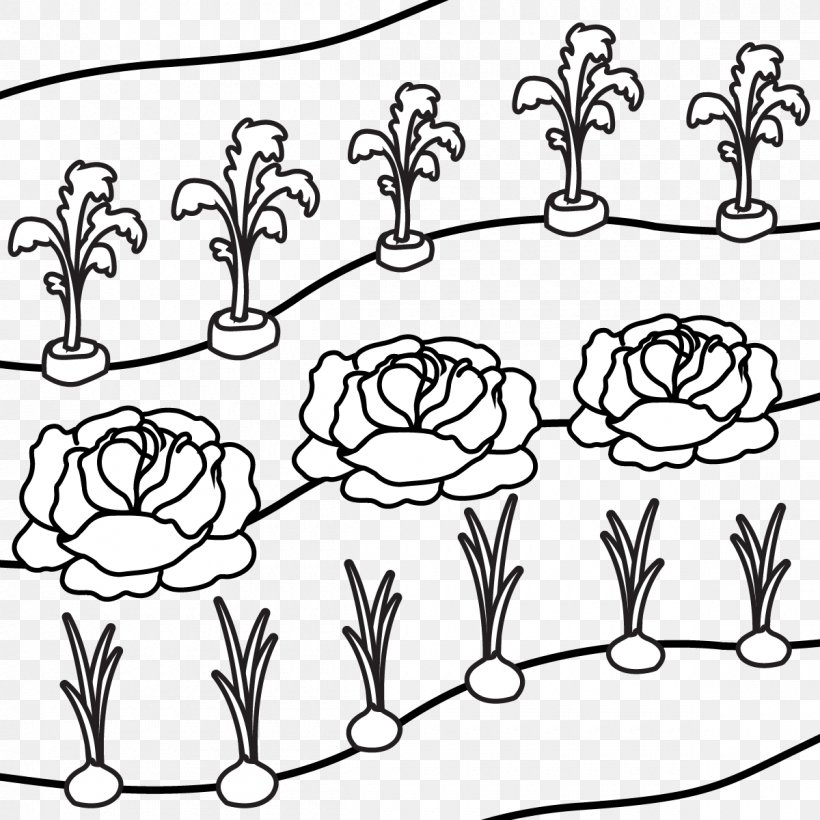 Gardening Lawn Mowers Gladiolus Longicollis, PNG, 1200x1200px, Gardening, Art, Blackandwhite, Botany, Bulb Download Free