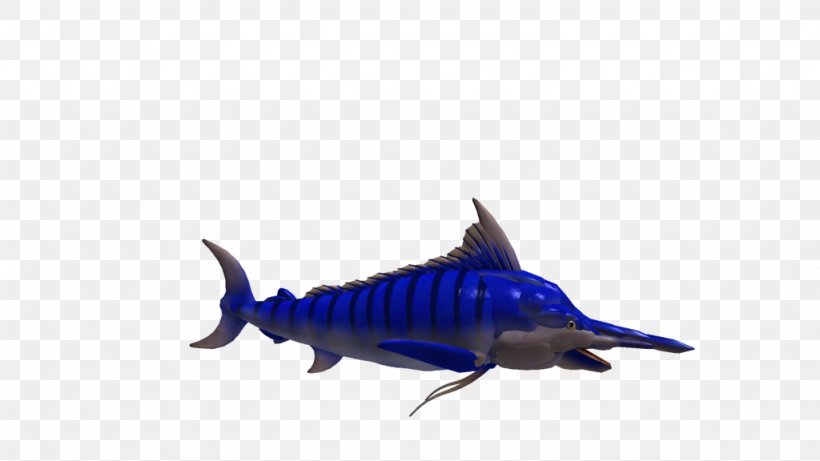 Shark Marine Biology Bony Fishes Marine Mammal Cobalt Blue, PNG, 1024x576px, Shark, Biology, Blue, Bony Fish, Bony Fishes Download Free