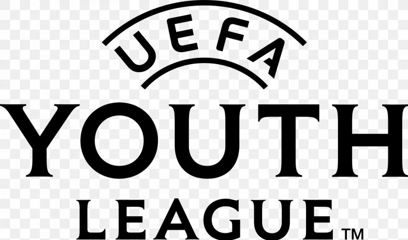 UEFA Euro 2016 UEFA Europa League UEFA Champions League Europe Premier League, PNG, 1200x708px, Uefa Euro 2016, Area, Black, Black And White, Brand Download Free