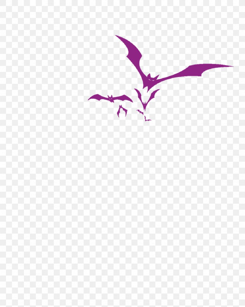 Bat Wing Development Bat Wing Development Icon, PNG, 1440x1800px, Bat, Area, Beak, Bird, Lilac Download Free