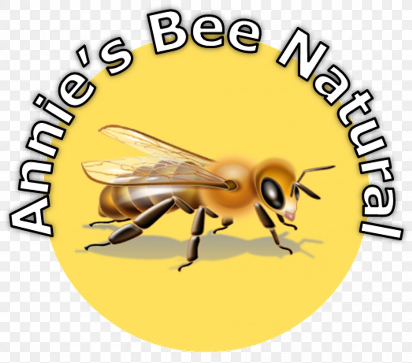 Honey Bee Brighton Holistics Course Didactic Method Education, PNG, 1920x1692px, Honey Bee, Accreditation, Arthropod, Bee, Brighton Download Free