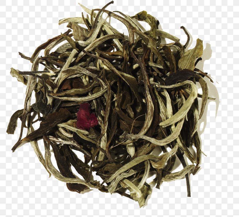 Earl Grey Tea White Tea Green Tea Darjeeling Tea, PNG, 800x746px, Tea, Assam Tea, Bai Mudan, Baihao Yinzhen, Bancha Download Free