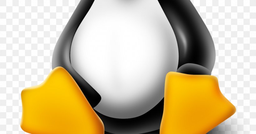 Linux Mint Snapshot Ubuntu Linux Kernel, PNG, 1200x630px, Linux, Computer Hardware, Computer Software, Fedora, Flightless Bird Download Free