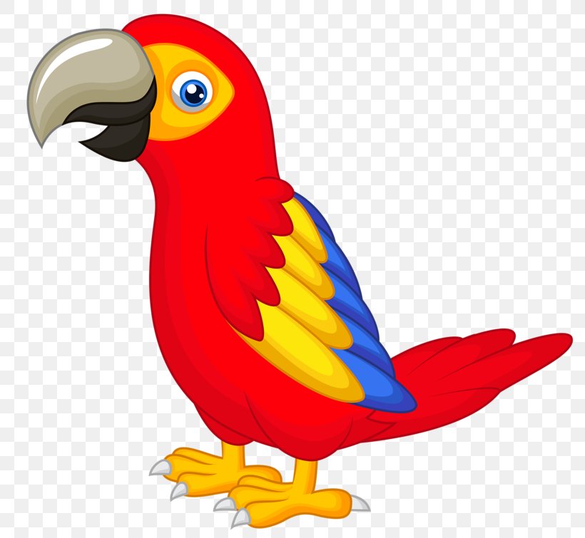 Parrot Talking Bird Clip Art, PNG, 800x755px, Parrot, Beak, Bird, Companion Parrot, Drawing Download Free