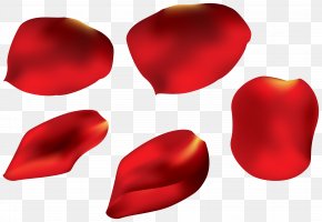 rose petals images rose petals transparent png free download rose petals transparent png