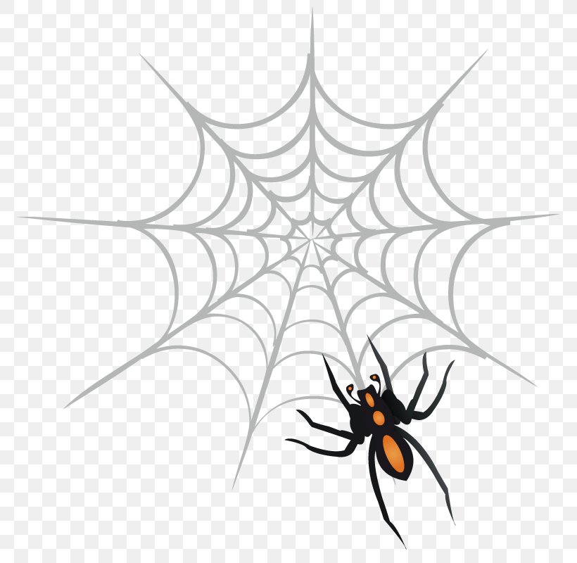 Spider Web Clip Art, PNG, 800x800px, Spider, Animal, Arachnid, Area, Arthropod Download Free