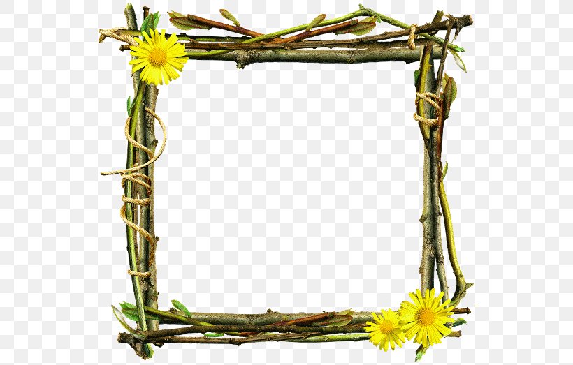 Stock Illustration Stock Photography Image Shutterstock, PNG, 547x523px, Stock Photography, Branch, Decoupage, Floral Design, Flower Download Free