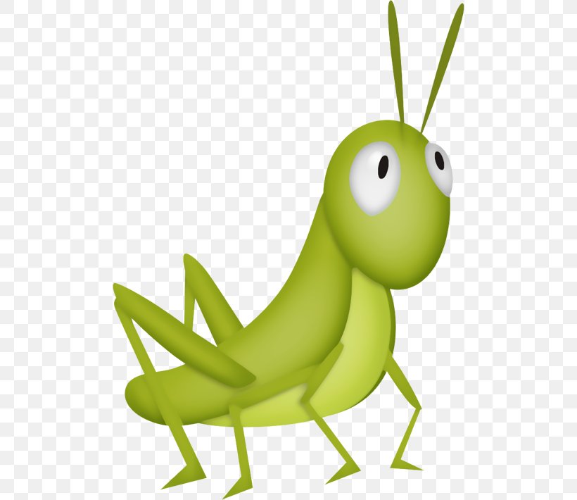 The Ant And The Grasshopper Cricket Clip Art, PNG, 500x710px, Grasshopper, Amphibian, Animal, Ant And The Grasshopper, Child Download Free