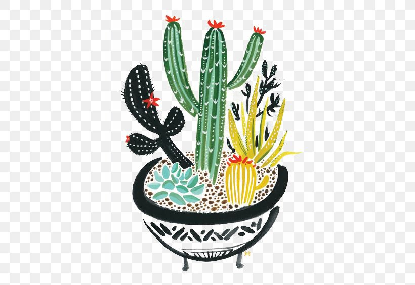 Cactaceae Succulent Plant Painting, PNG, 564x564px, Cactaceae, Cactus, Caryophyllales, Designer, Flowering Plant Download Free