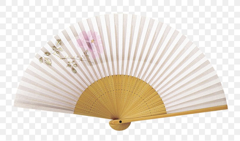 Hand Fan RGB Color Model, PNG, 800x481px, 2048, Hand Fan, Air, Color, Computer Software Download Free