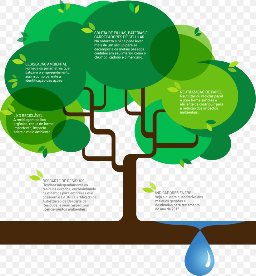 Infographic Ecology, PNG, 1200x1298px, Infographic, Area, Brand, Communication, Diagram Download Free