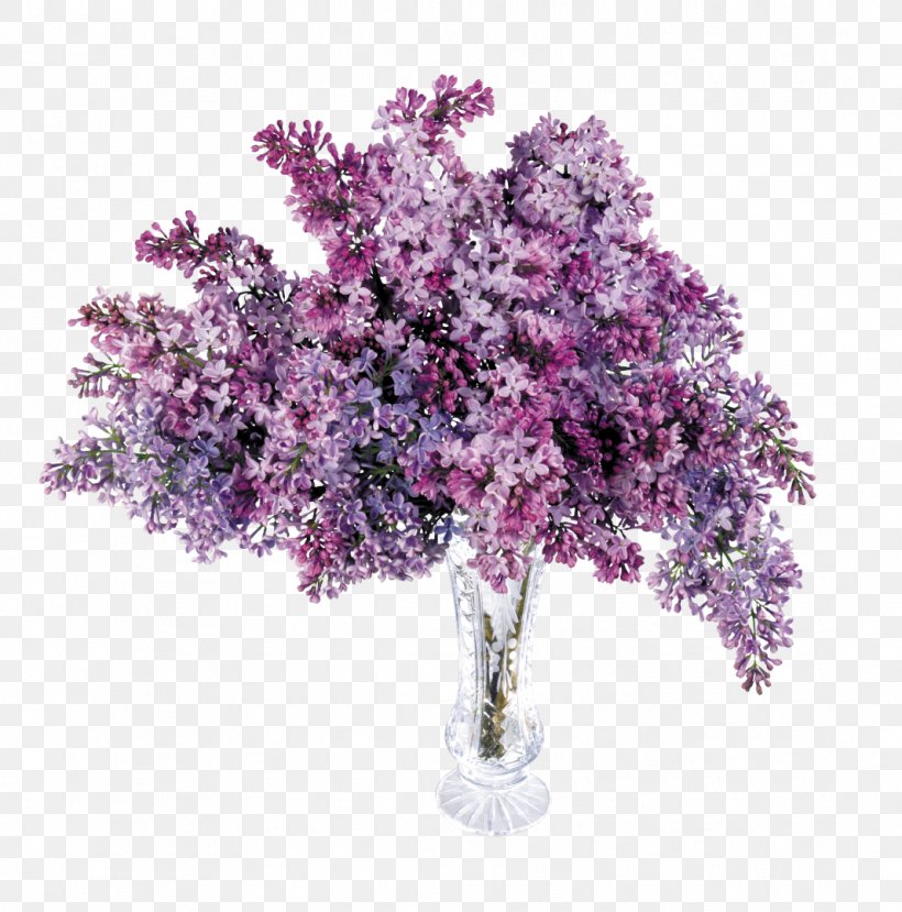 Lilac Purple Lavender Clip Art, PNG, 1067x1080px, Lilac, Blossom, Branch, Common Lilac, Cut Flowers Download Free