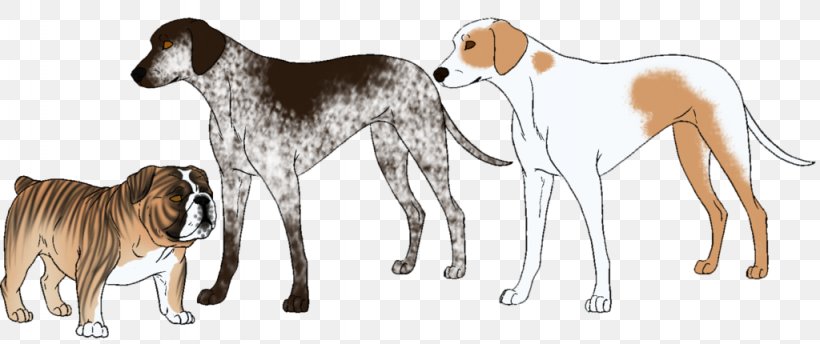 Saluki Spanish Greyhound Sloughi Azawakh, PNG, 1024x430px, Saluki, Animal, Animal Figure, Azawakh, Big Cat Download Free