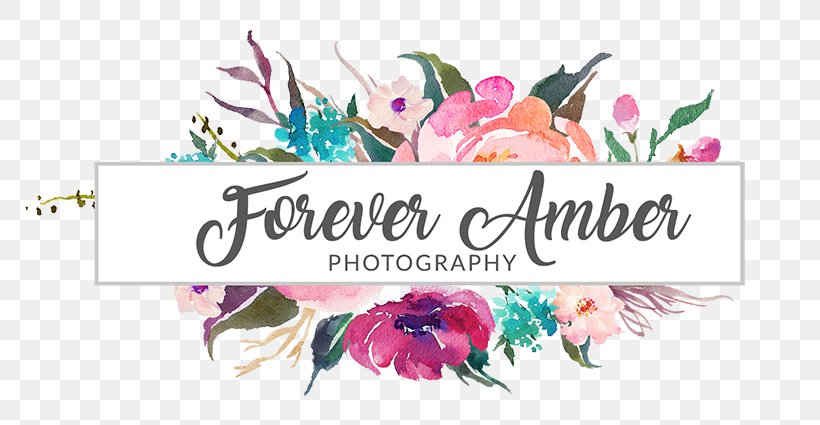 Animal Hospital Of Beulaville Calligraphy Art Photographer Photography, PNG, 798x425px, Calligraphy, Art, Artist, Brand, Cut Flowers Download Free
