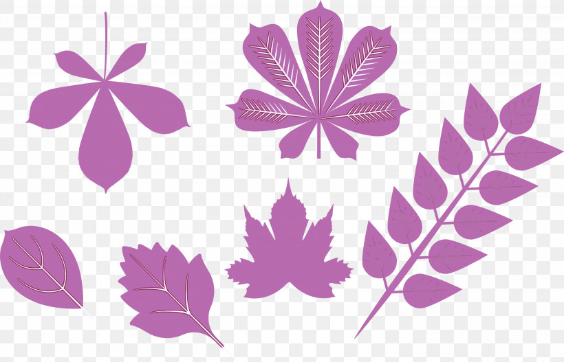 Autumn Leaf Autumn Color, PNG, 3000x1930px, Autumn Leaf, Autumn, Autumn Color, Cartoon, Color Download Free