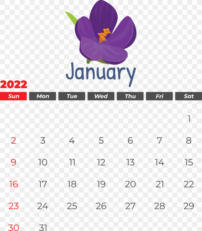 Calendar Line Font Flower Petal, PNG, 3309x3781px, Calendar, Flower, Geometry, Line, Mathematics Download Free