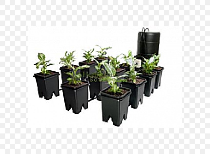 Ebb And Flow Hydroponics Gallon Grow Light Plant, PNG, 600x600px, Ebb And Flow, Business, Energy, Flowerpot, Gallon Download Free