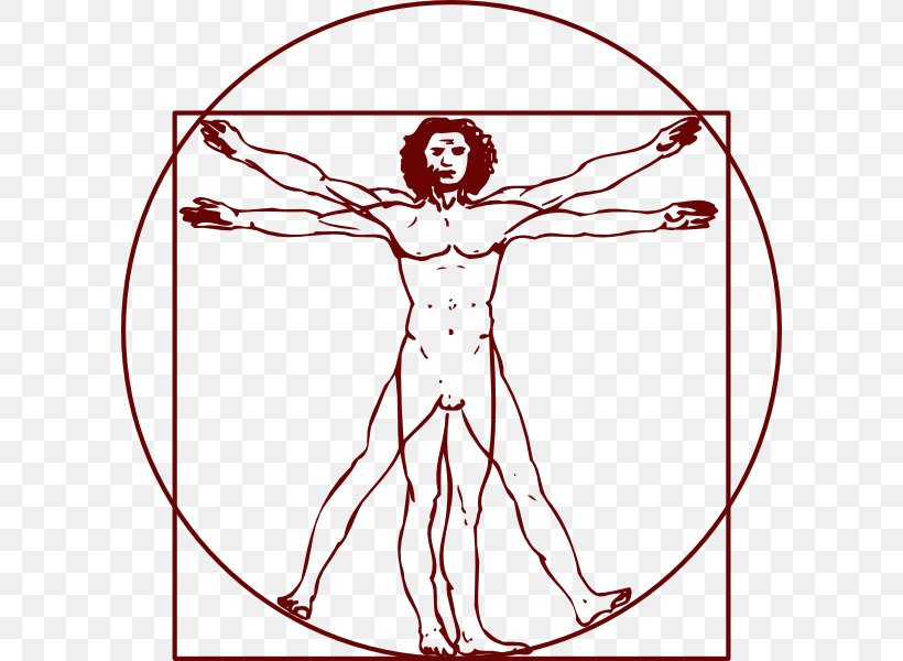 Vitruvian Man Clip Art, PNG, 600x600px, Watercolor, Cartoon, Flower, Frame, Heart Download Free