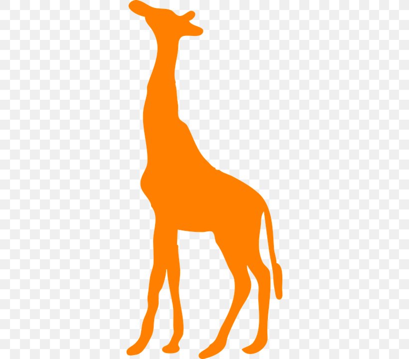 Clip Art Shape Image Northern Giraffe Vector Graphics, PNG, 360x720px, Shape, Animal, Animal Figure, Area, Carnivoran Download Free