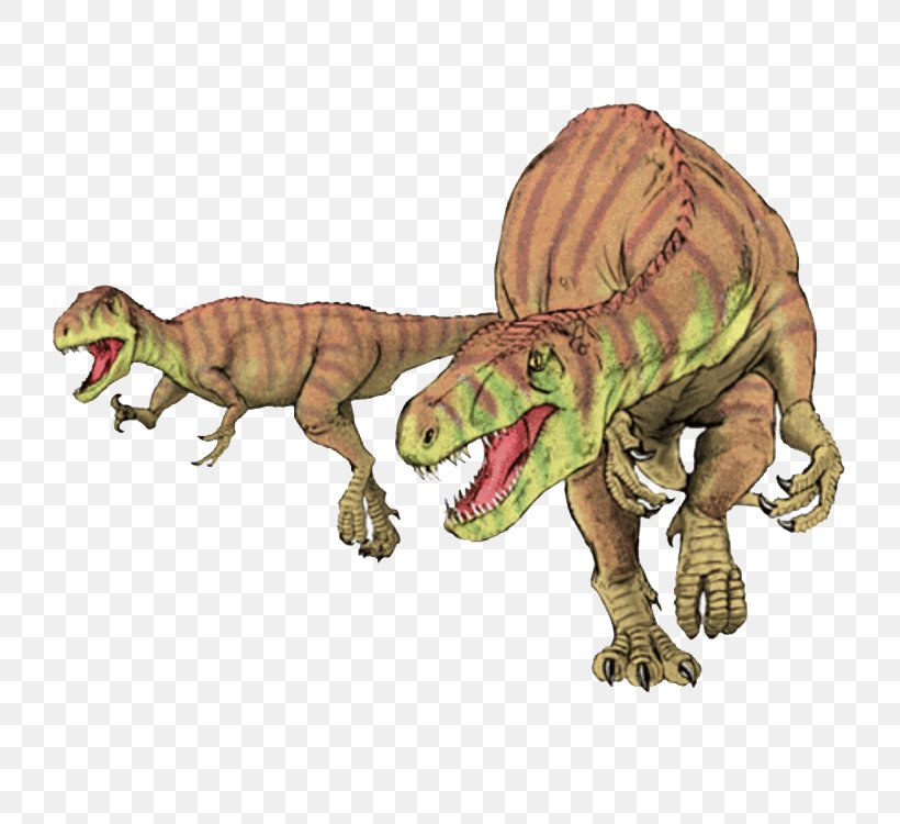 Afrovenator Theropods Janenschia Agilisaurus Jobaria, PNG, 800x750px, Afrovenator, Animal Figure, Bipedalism, Carnivore, Dinosaur Download Free