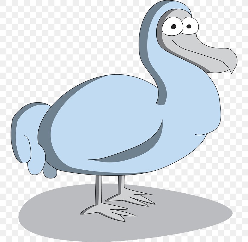 Duck Flightless Bird Crane Seabird, PNG, 750x800px, Duck, Beak, Bird, Crane, Crane Like Bird Download Free