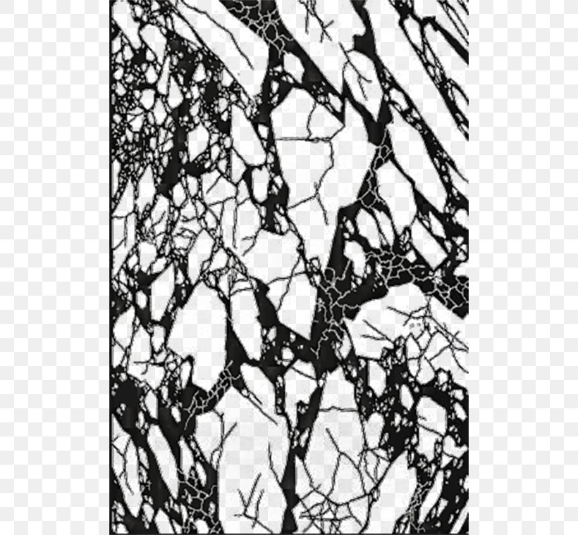 Glass Euclidean Vector Computer File, PNG, 510x760px, Glass, Black And White, Branch, Designer, Flora Download Free
