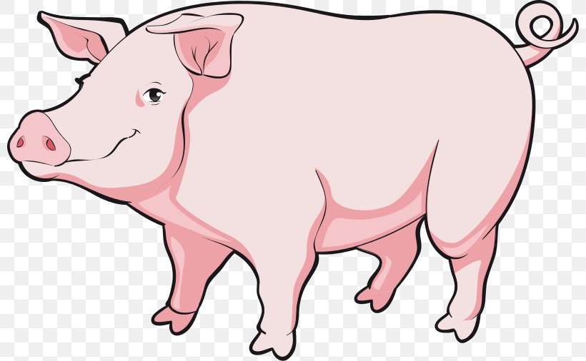 Pig Cartoon Clip Art, PNG, 800x506px, Pig, Animal Figure, Animation, Artwork, Cartoon Download Free