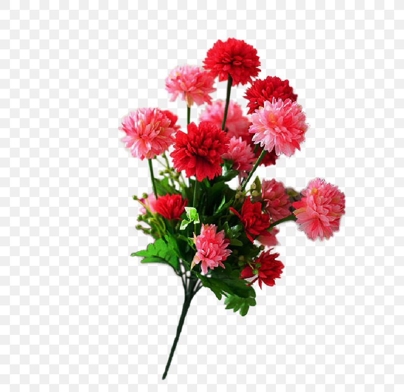Shoeblackplant Cut Flowers Carnation Ornamental Plant, PNG, 591x796px, Shoeblackplant, Annual Plant, Artificial Flower, Carnation, Chrysanths Download Free