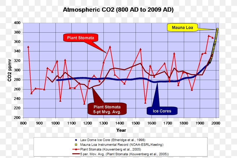 Stoma Carbon Dioxide Ice Core Climate Change Transpiration, PNG, 799x547px, Stoma, Area, Atmosphere, Atmosphere Of Earth, Carbon Dioxide Download Free