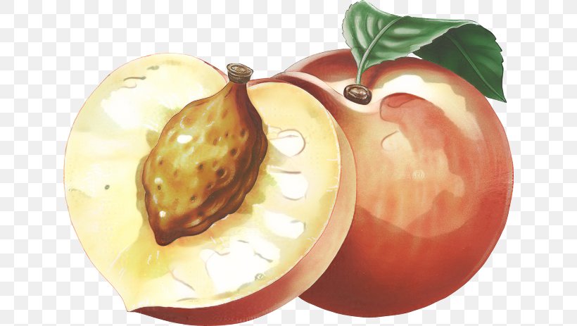 Clip Art Vector Graphics Peach Illustration, PNG, 640x463px, Peach, Accessory Fruit, Apple, Art, Cartoon Download Free