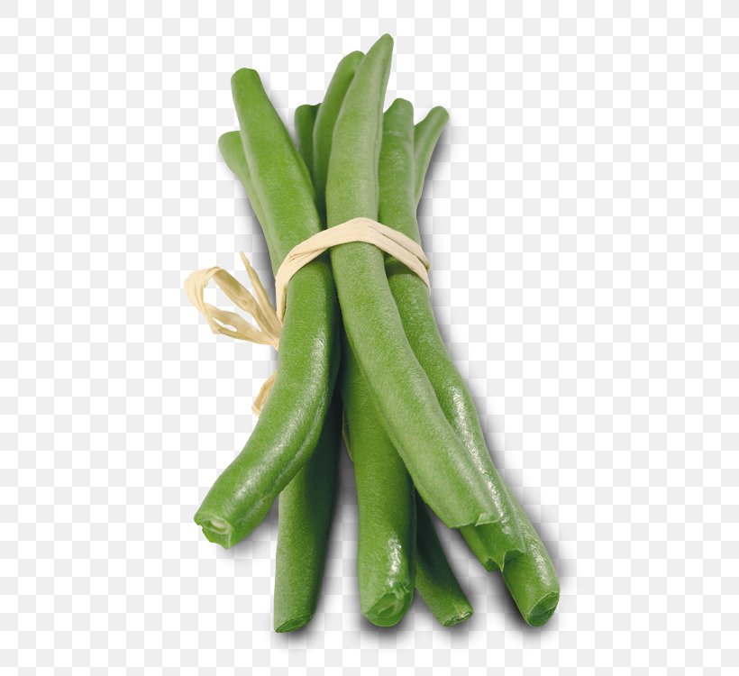 Green Bean Plant Stem Lima Bean Commodity Scallion, PNG, 750x750px, Green Bean, Bean, Commodity, Lima Bean, Plant Stem Download Free