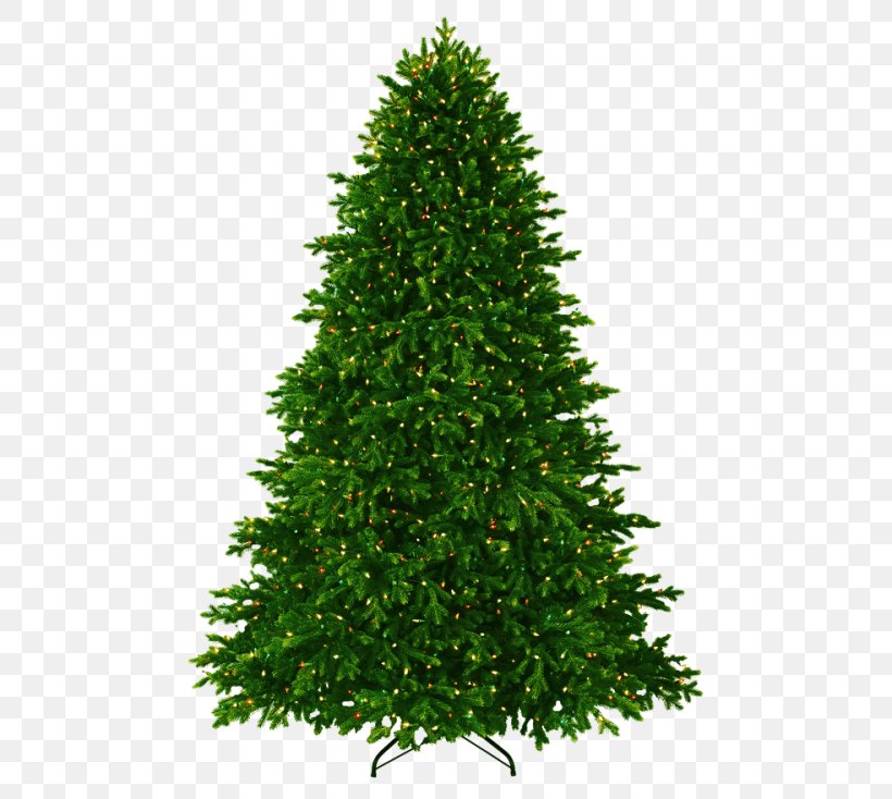 Clip Art Fir Image Desktop Wallpaper, PNG, 500x734px, Fir, American Larch, Christmas Tree, Colorado Spruce, Conifer Download Free