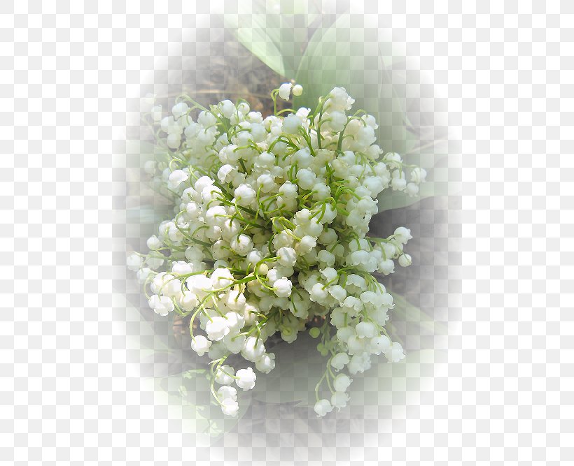 Floral Design Flower Bouquet 1 May Lily Of The Valley, PNG, 500x667px, Floral Design, Chomikujpl, Cut Flowers, Diary, Floristry Download Free