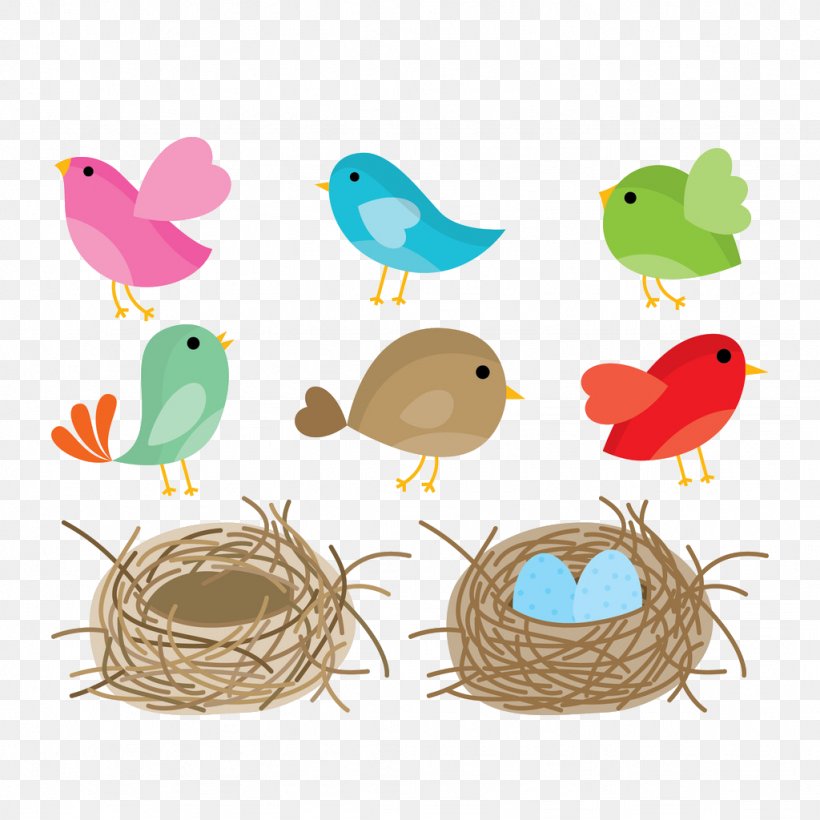 Bird Nest Drawing, PNG, 1024x1024px, Bird, Beak, Bird Nest, Cartoon,  Drawing Download Free