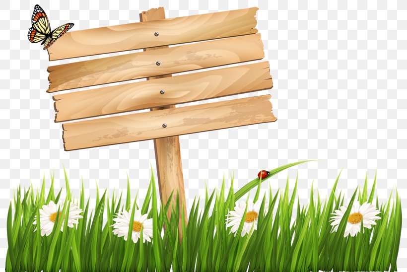 Desktop Wallpaper Clip Art, PNG, 800x548px, Fence, Grass, Grass Family, Lawn, Picket Fence Download Free