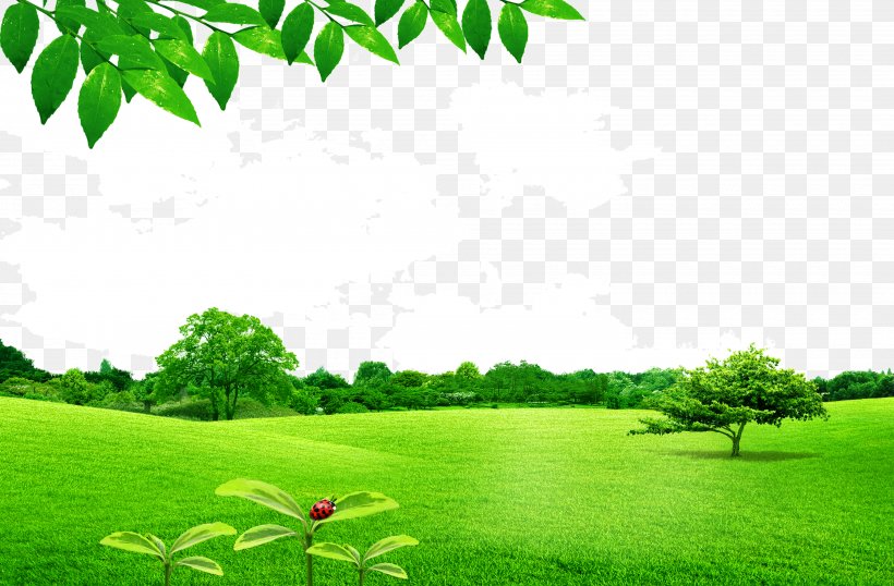 Leafy Lawn, PNG, 3500x2300px, Lawn, Computer Graphics, Daytime, Ecosystem, Field Download Free