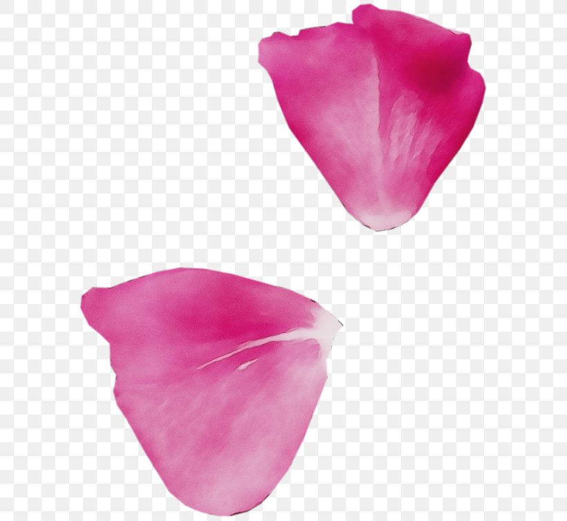 Petal Pink Magenta Flower Tulip, PNG, 600x754px, Watercolor, Flower, Herbaceous Plant, Magenta, Paint Download Free