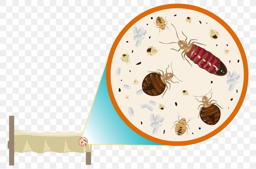 Cockroach Bed Bug Control Techniques Pest Control Bed Bug Bite, PNG, 1400x925px, Cockroach, Bed, Bed Bug, Bed Bug Bite, Bed Bug Control Techniques Download Free