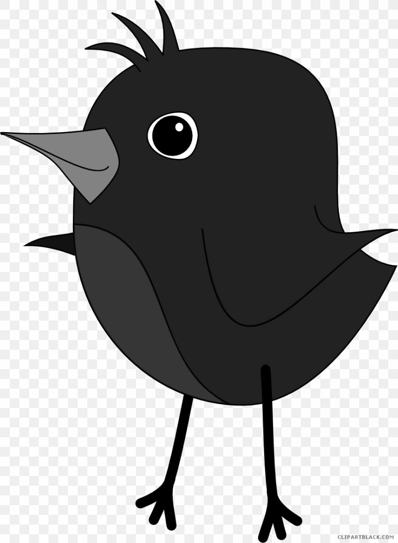 European Robin Clip Art Free Content American Robin, PNG, 880x1200px, Robin, American Robin, Beak, Bird, Black And White Download Free