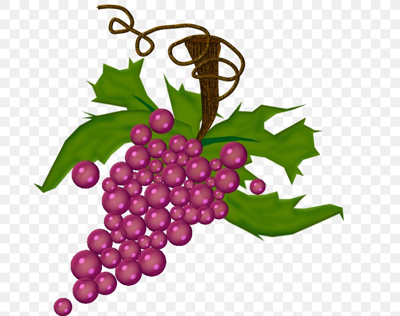 Grape Drawing, PNG, 684x649px, Grape, Auglis, Beaujolais Nouveau, Berry, Drawing Download Free