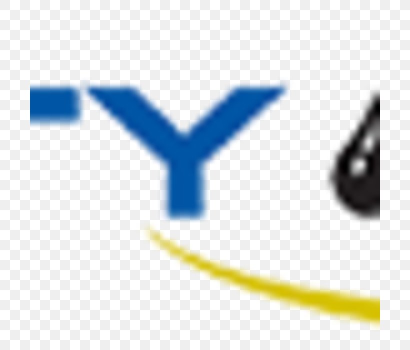 Orlando Township News Brand Logo, PNG, 700x700px, News, Blue, Brand, Customer, Electric Blue Download Free