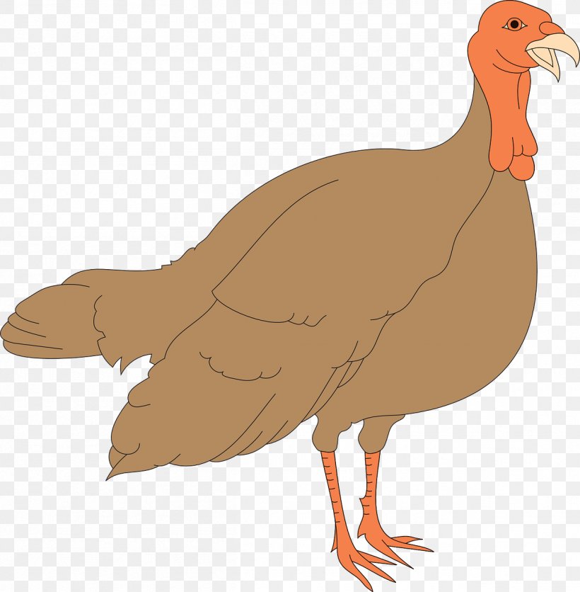 Black Turkey Thanksgiving Chicken Clip Art, PNG, 1255x1280px, Black Turkey, Beak, Bird, Cartoon, Chicken Download Free