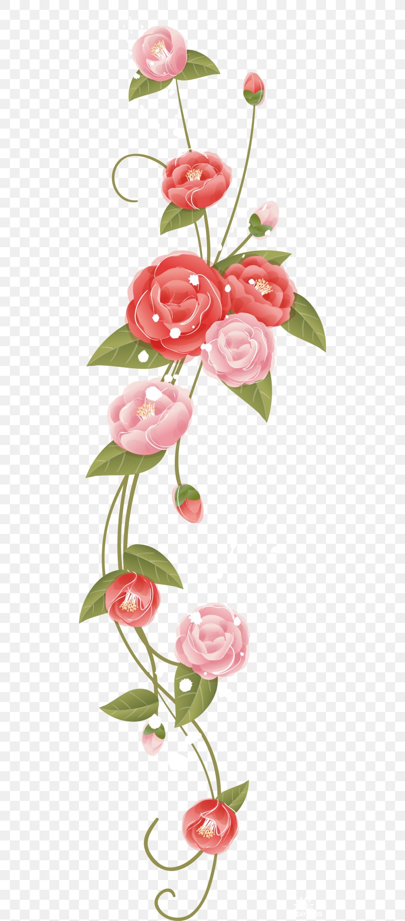 Flower Garden Roses, PNG, 500x1863px, Flower, Cut Flowers, Element, Flora, Floral Design Download Free