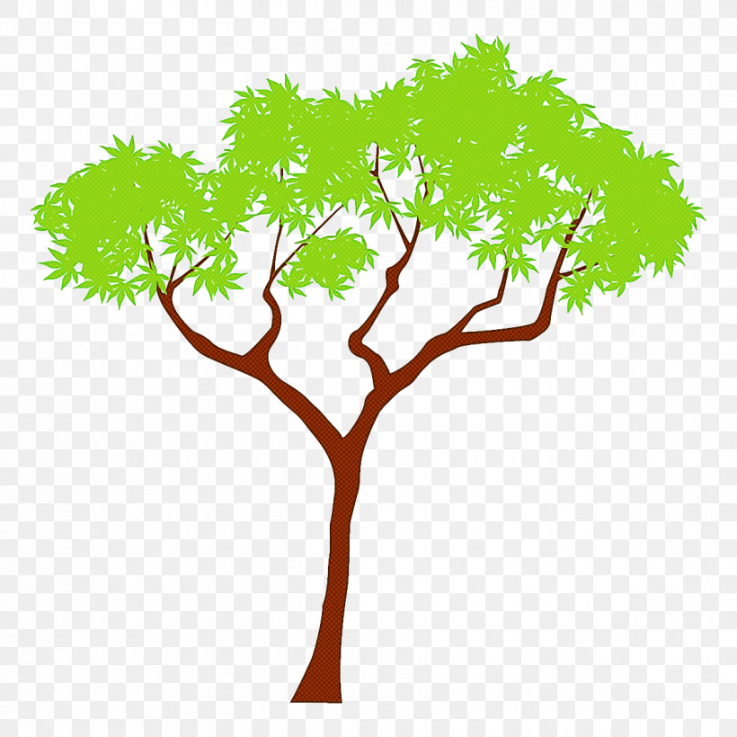 Plane, PNG, 1200x1200px, Maple Tree, Branch, Cartoon Tree, Flower, Grass Download Free