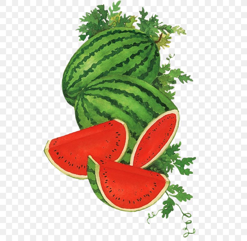 Watermelon Food Cucumber Honeydew, PNG, 532x800px, Watermelon, Cantaloupe, Citrullus, Crisp, Cucumber Download Free
