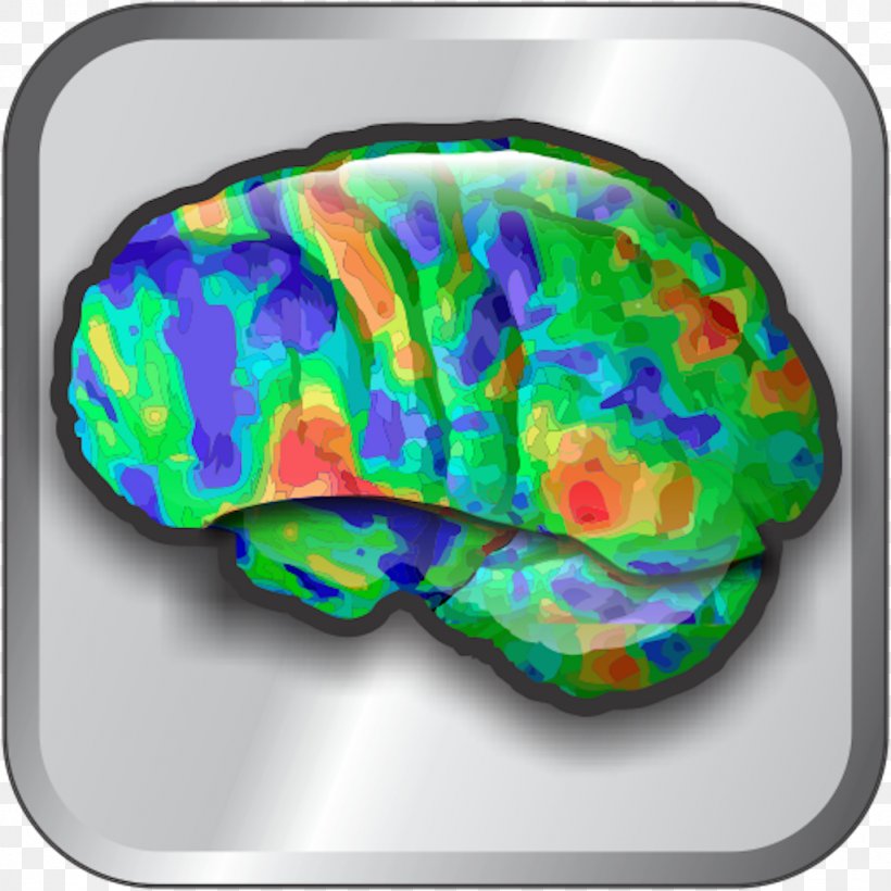 Windows Phone Screenshot Brain Medicine, PNG, 1024x1024px, Watercolor, Cartoon, Flower, Frame, Heart Download Free