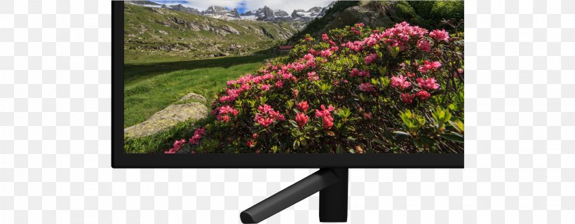 Bravia Television Set Sony LED-backlit LCD, PNG, 2028x792px, 4k Resolution, Bravia, Android Tv, Computer Monitor, Cut Flowers Download Free